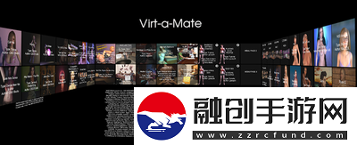 VirtaMateVaM配置全解析